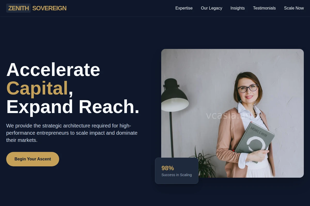 Vision Business Coach