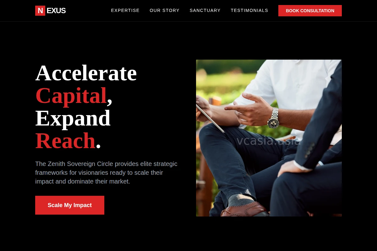 Nexus Business Coach
