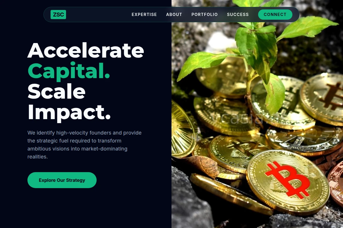 Portfolio Venture Capital
